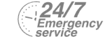 24/7 Emergency Service Pest Control in Hammersmith, W6. Call Now! 020 8166 9746
